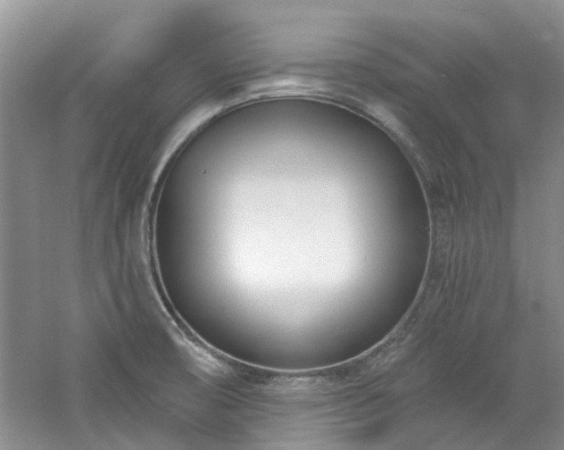 X0000061101474200511181050