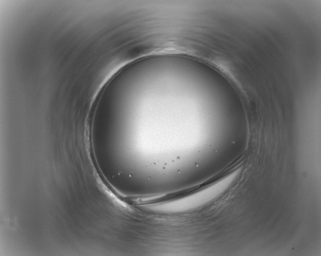 X0000061101476200511181050