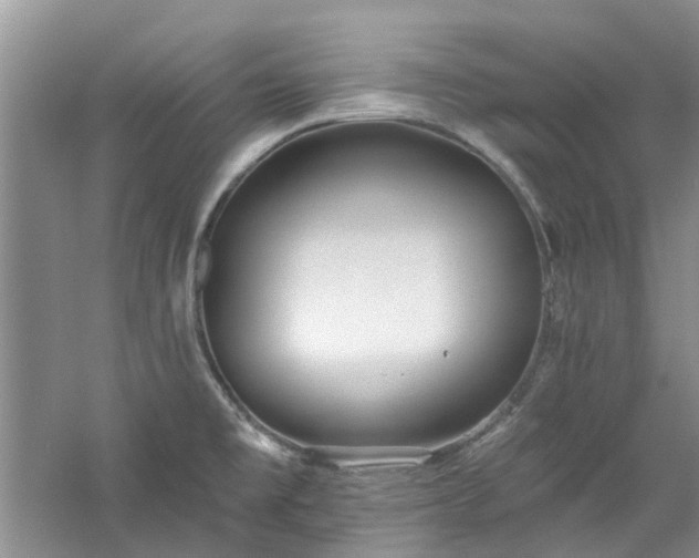 X0000061101477200511181050