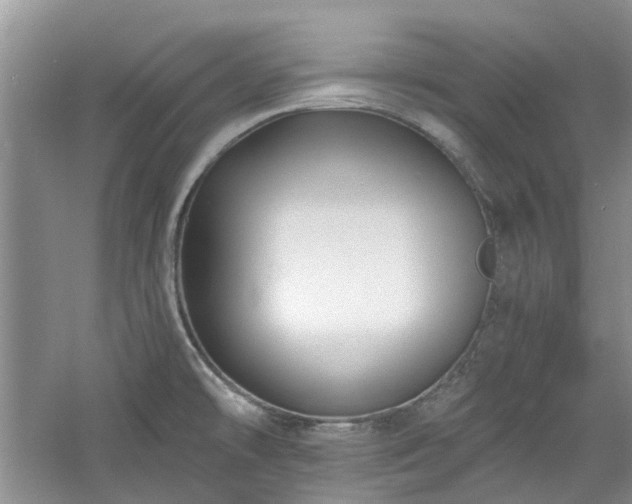 X0000061101478200511181050