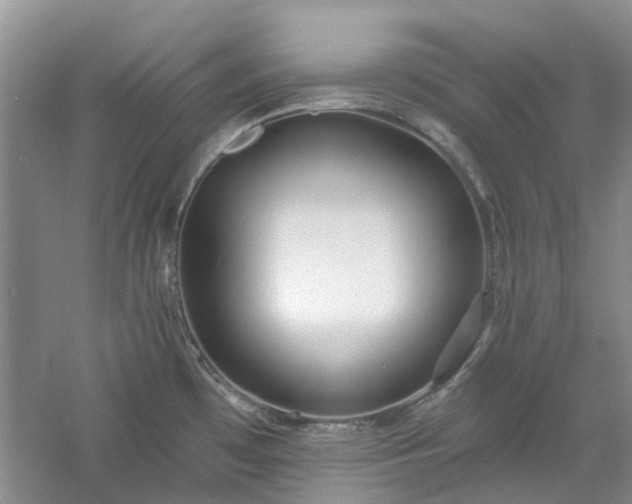 X0000061101481200511181050