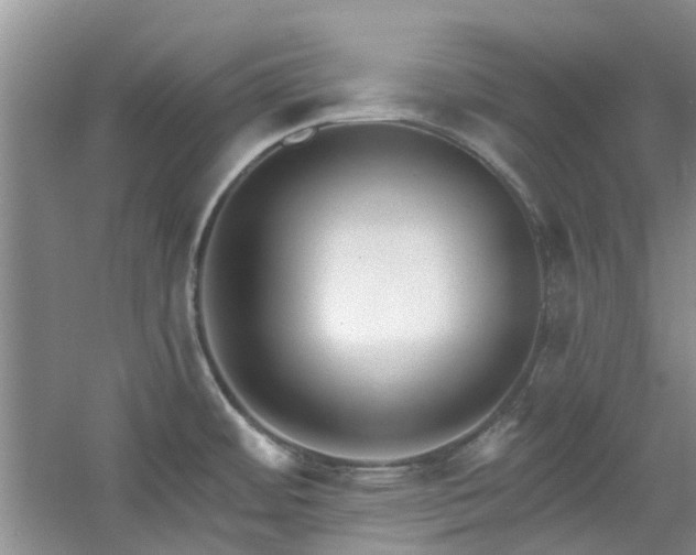 X0000061101484200511181050