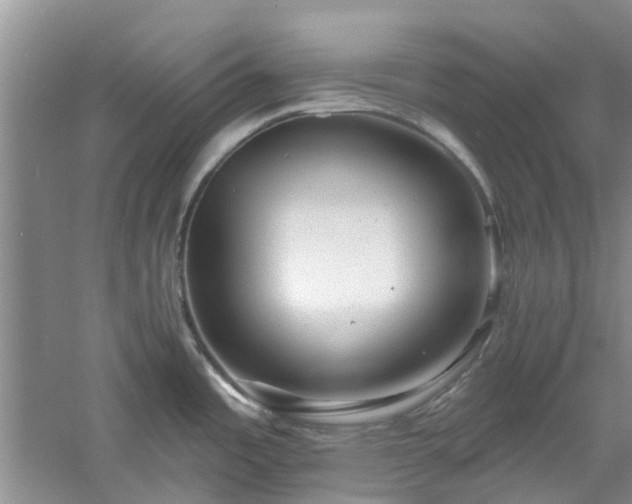 X0000061101485200511181050