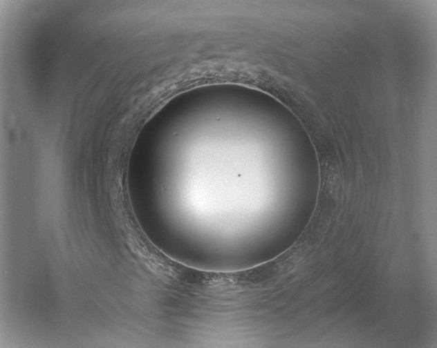 X0000061101489200511181049
