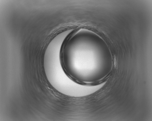 X0000061101492200511181049