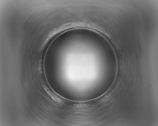 X0000061101499200511181049
