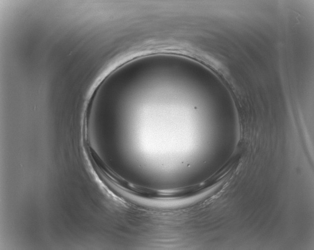 X0000061101520200511181050