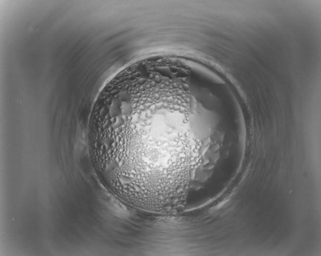 X0000061101529200511181050