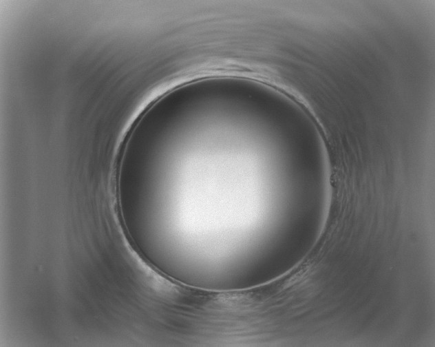 X0000061101531200511181050
