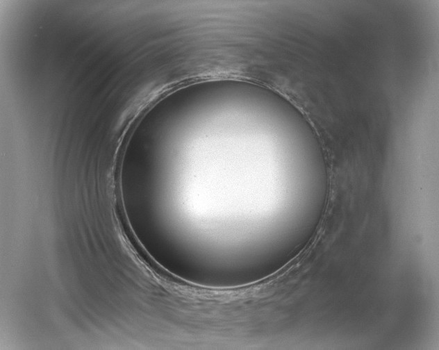 X0000061100002200511210919