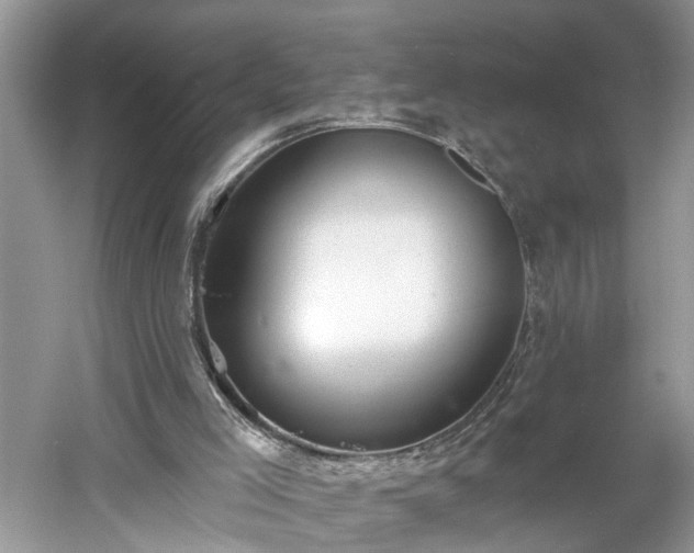 X0000061100005200511210919