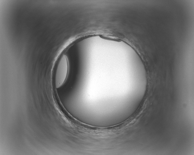 X0000061100008200511210919
