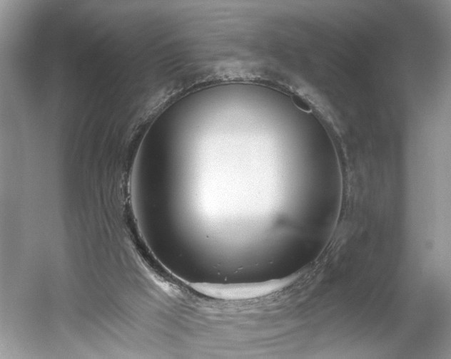 X0000061100009200511210919