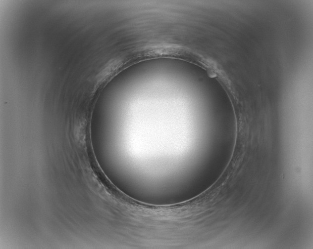 X0000061100010200511210919