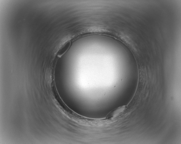 X0000061100015200511210919