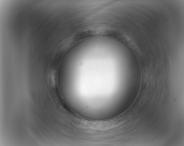 X0000061100026200511210919