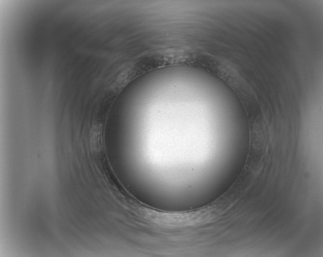 X0000061100034200511210919