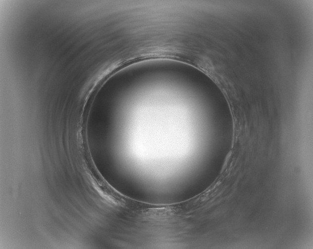 X0000061100050200511210918