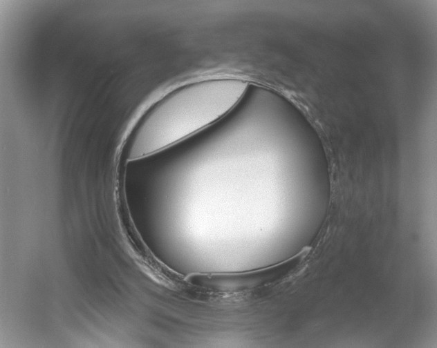 X0000061100056200511210918