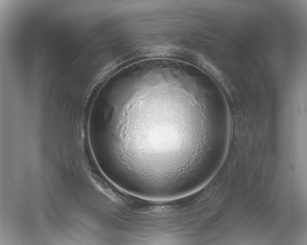 X0000061100059200511210918