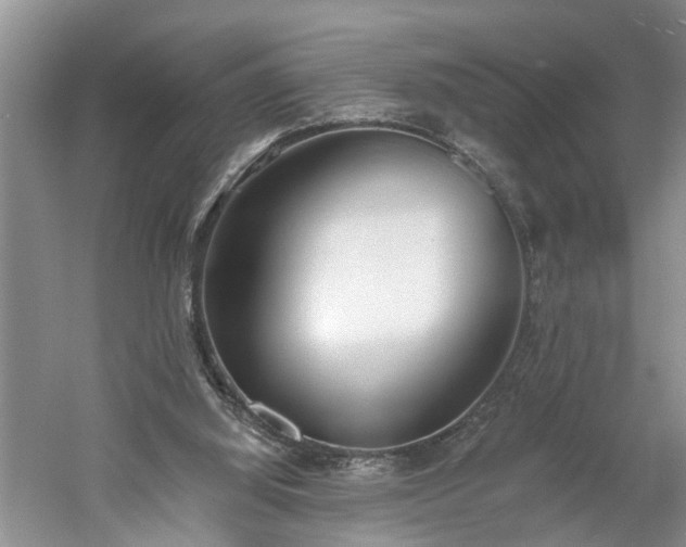 X0000061100060200511210918