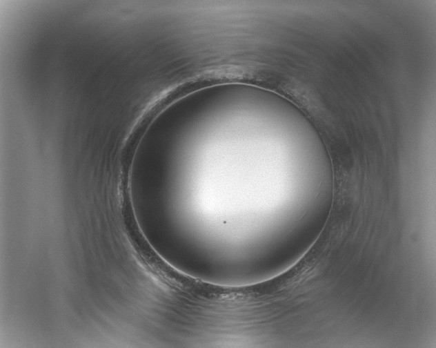 X0000061100064200511210918