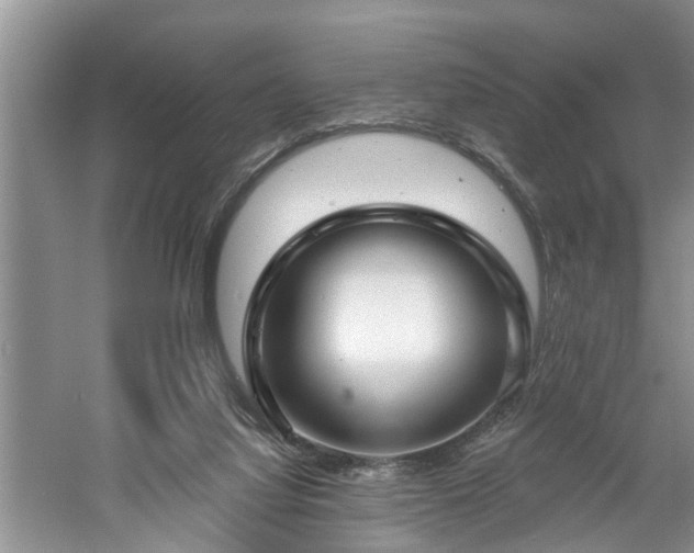 X0000061100068200511210918