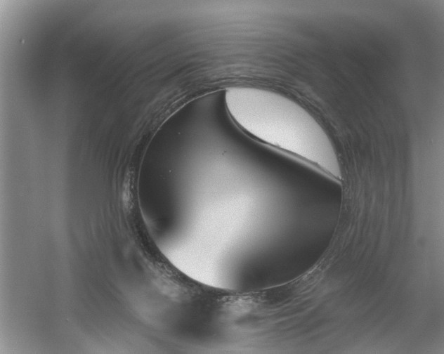 X0000061100074200511210918