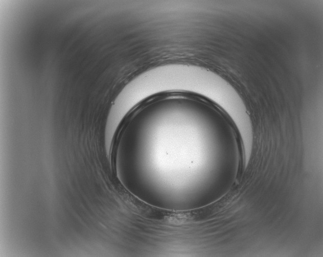 X0000061100079200511210918
