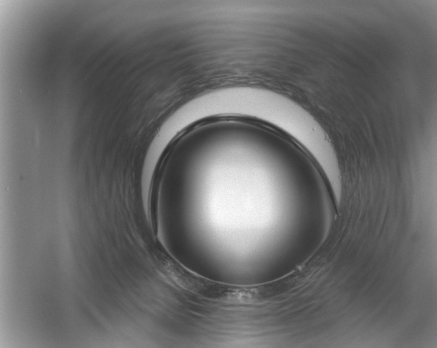 X0000061100080200511210918