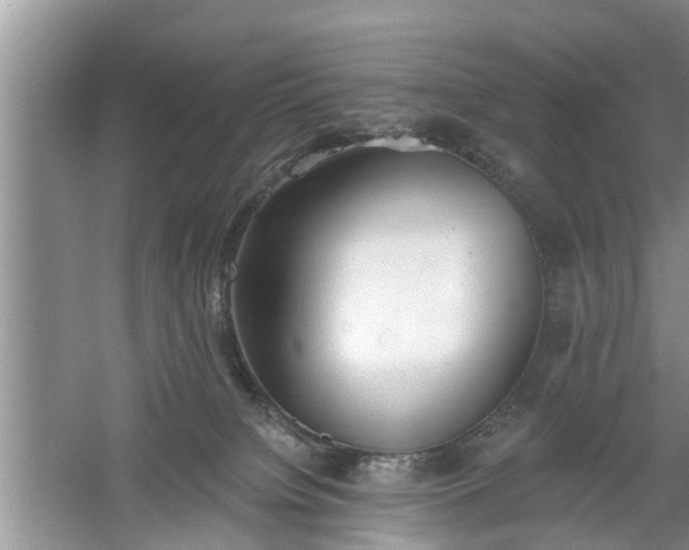X0000061100084200511210918