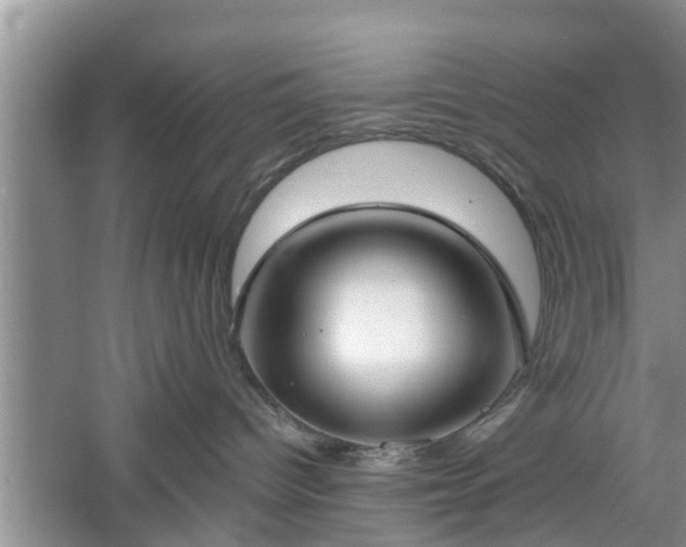 X0000061100096200511210919