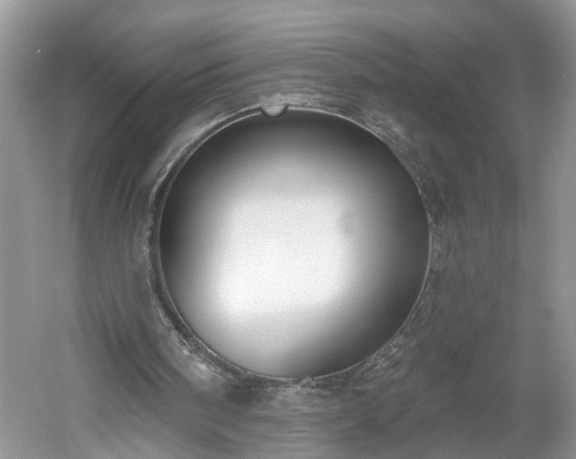 X0000061100098200511210918
