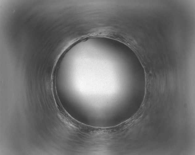 X0000061100100200511210918