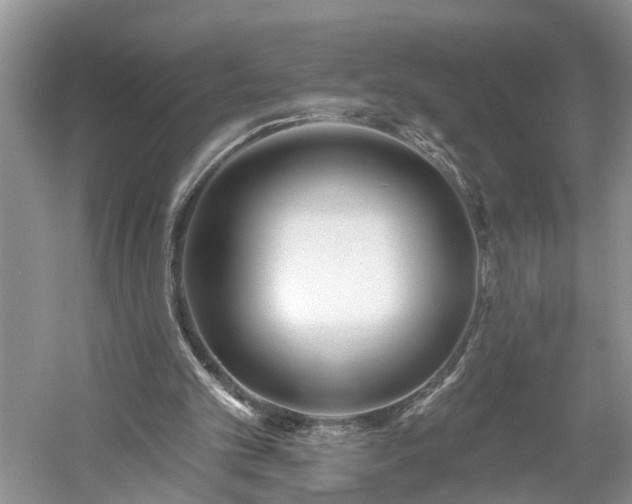 X0000061100101200511210918