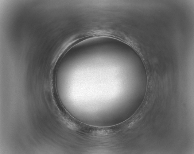 X0000061100103200511210918