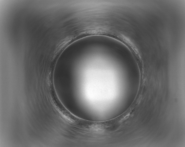 X0000061100105200511210918