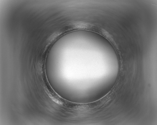 X0000061100106200511210918