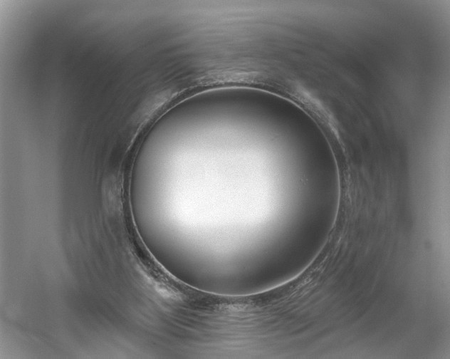 X0000061100107200511210918
