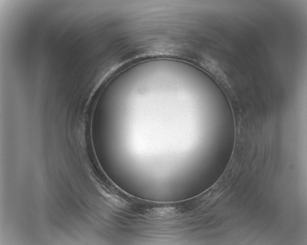 X0000061100108200511210918