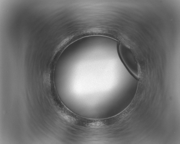 X0000061100112200511210917