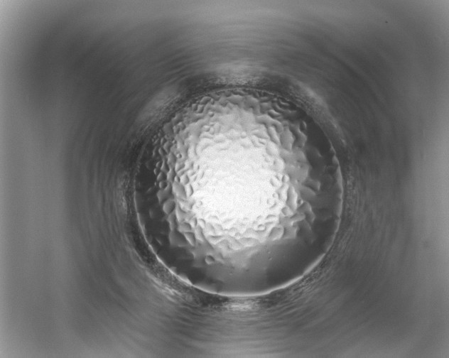 X0000061100114200511210917