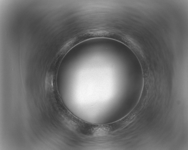 X0000061100115200511210917