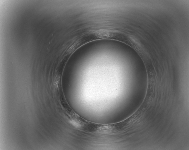 X0000061100125200511210917