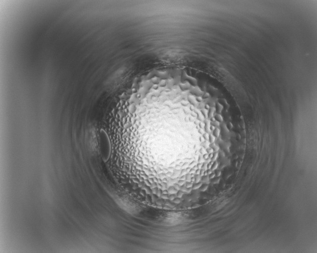 X0000061100130200511210917