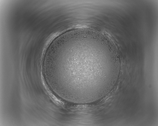 X0000061100145200511210916