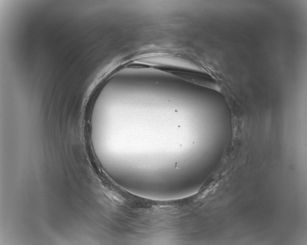 X0000061100150200511210916