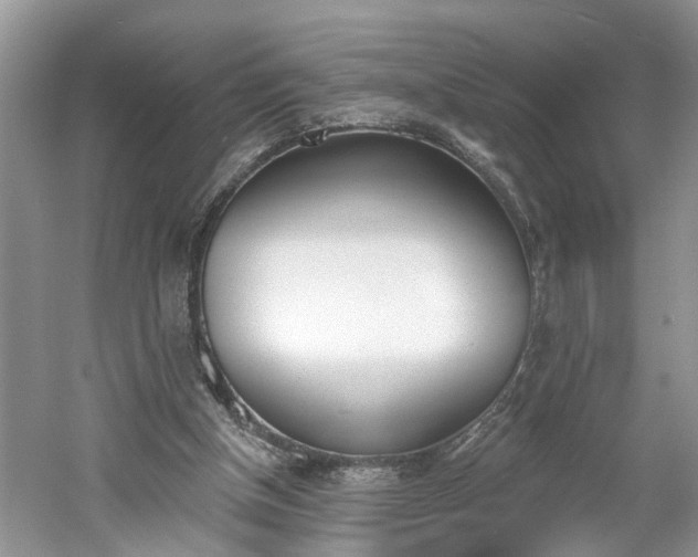 X0000061100154200511210916