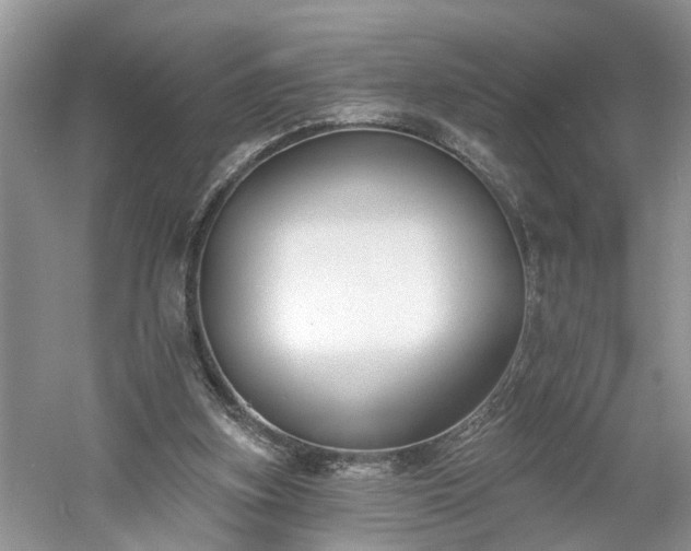 X0000061100155200511210916