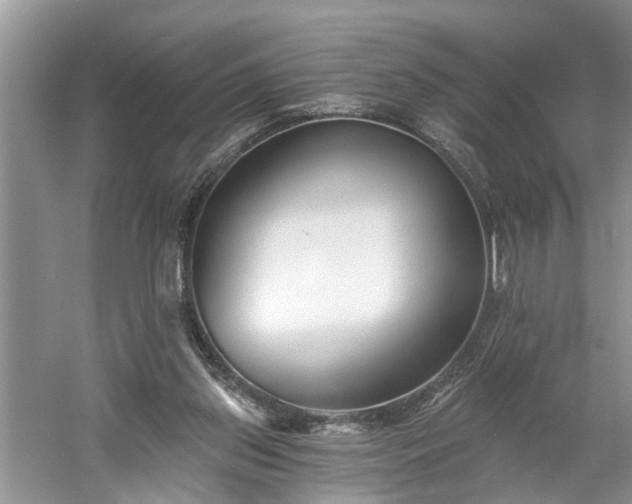 X0000061100157200511210916